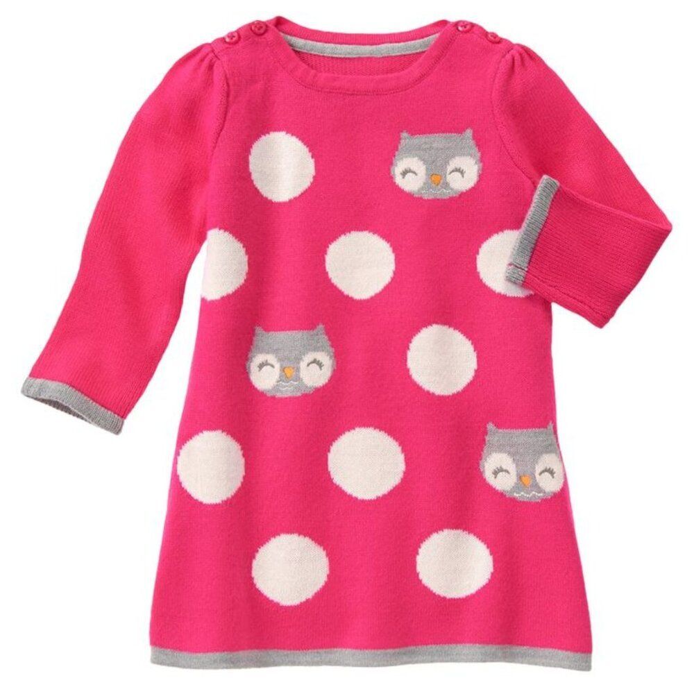 Gymboree Owl and Polka Dot Dress Size 2T